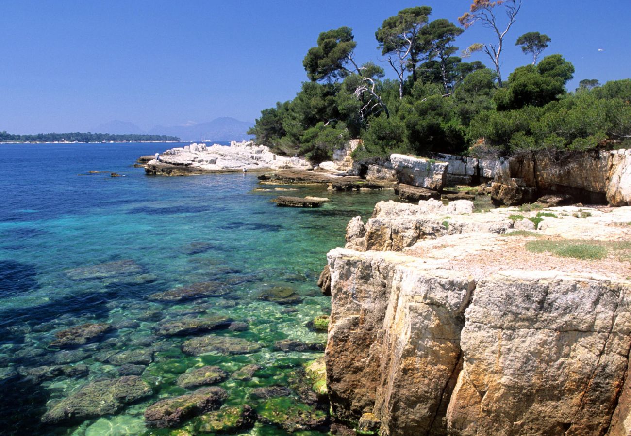 Apartment in Antibes - Terraza del sol