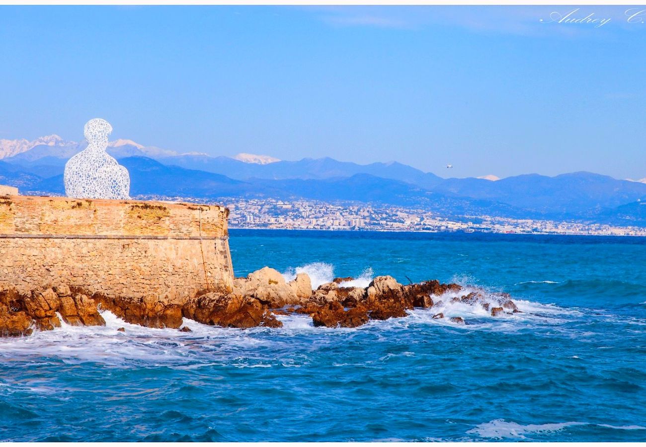 Appartement à Antibes - LES PALMIERS